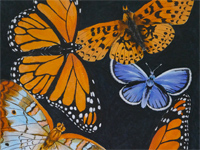 Butterflies painting