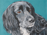 Alfie painting