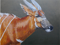 Bongo painting